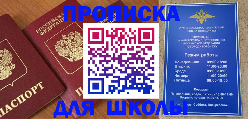 прописка ребенка в Барыше